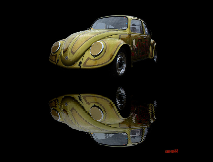 Turtle racer 2 - Réflection Black#2